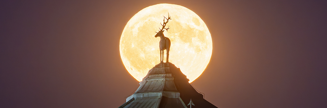 <br>5 de Noviembre: Superluna del Cazador