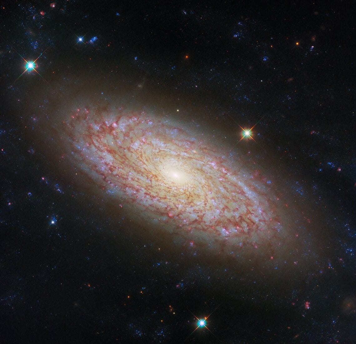 Imagen del Telescopio Espacial Hubble de la NASA/ESA de la galaxia espiral NGC 2090, ubicada en la constelación de Columba.
