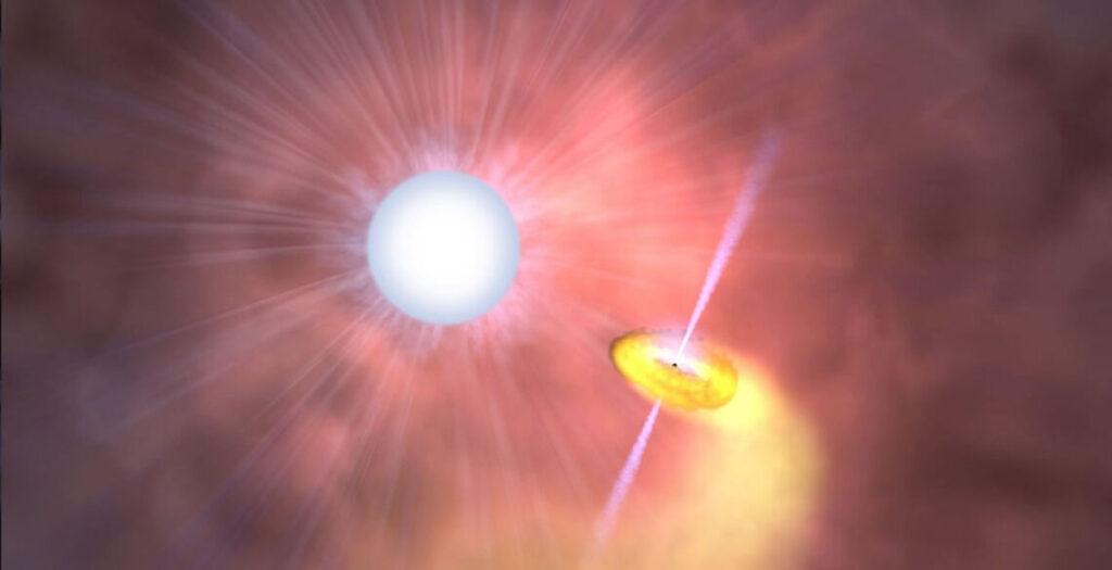 Cygnus X-3 es un sistema binario de alta masa que consiste en un objeto compacto (probablemente un agujero negro) y una estrella Wolf-Rayet caliente. Esta concepción artística muestra una interpretación del sistema. La espectroscopia de rayos X de alta resolución indica dos componentes de gas: un fuerte flujo de fondo, o viento, que emana de la estrella masiva y una estructura turbulenta, tal vez una estela tallada en el viento, ubicada cerca de la estrella compañera en órbita. Como se muestra aquí, la gravedad de un agujero negro captura parte del viento en un disco de acreción a su alrededor, y el movimiento orbital del disco esculpe un camino (arco amarillo) a través del gas que fluye. Durante las explosiones fuertes, el compañero emite chorros de partículas que se mueven cerca de la velocidad de la luz, que se ven aquí extendiéndose por encima y por debajo del agujero negro.