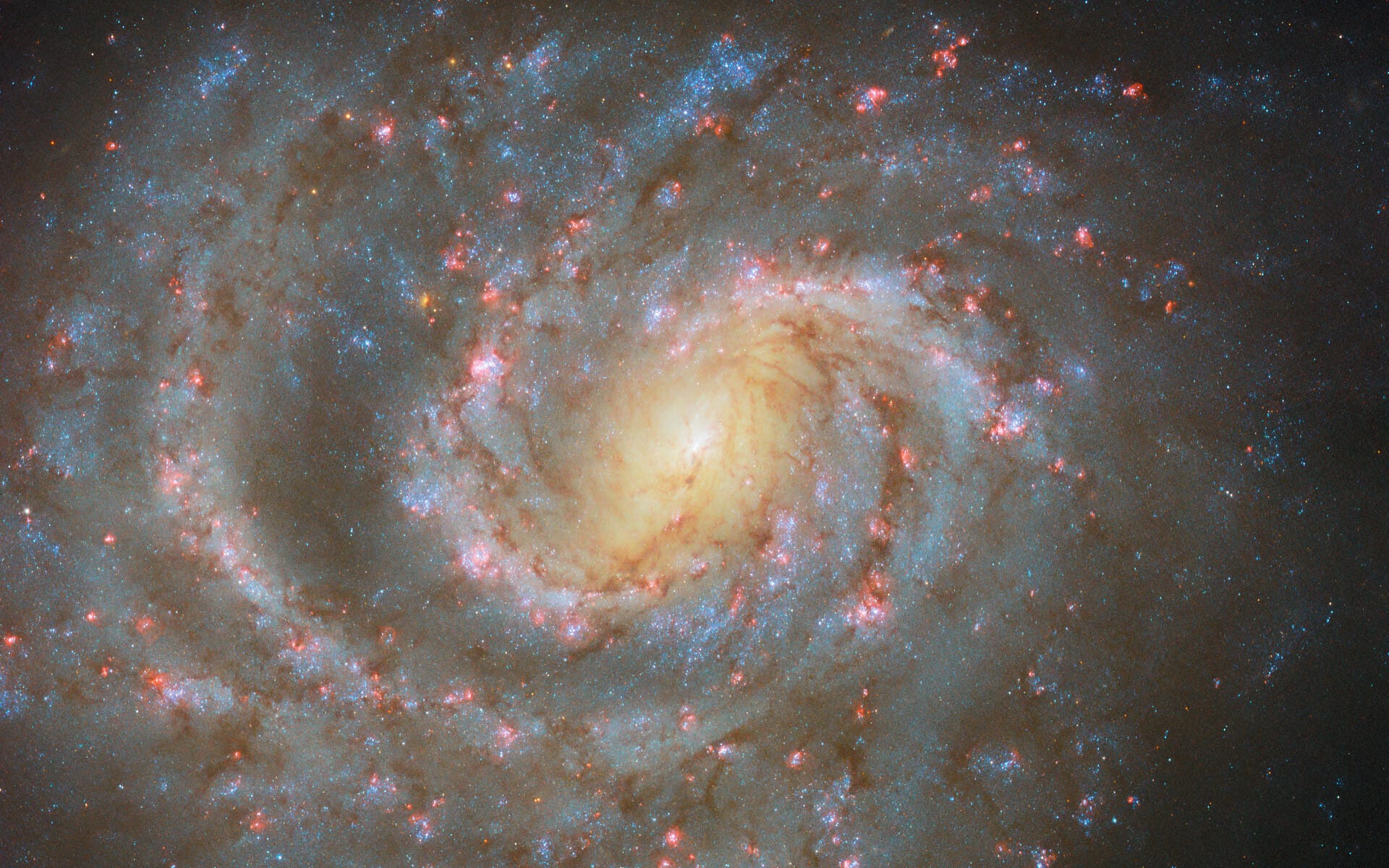 El Hubble Observa la Formación de Estrellas en la Galaxia NGC 1637 1 El Hubble Observa la Formación de Estrellas en la Galaxia NGC 1637