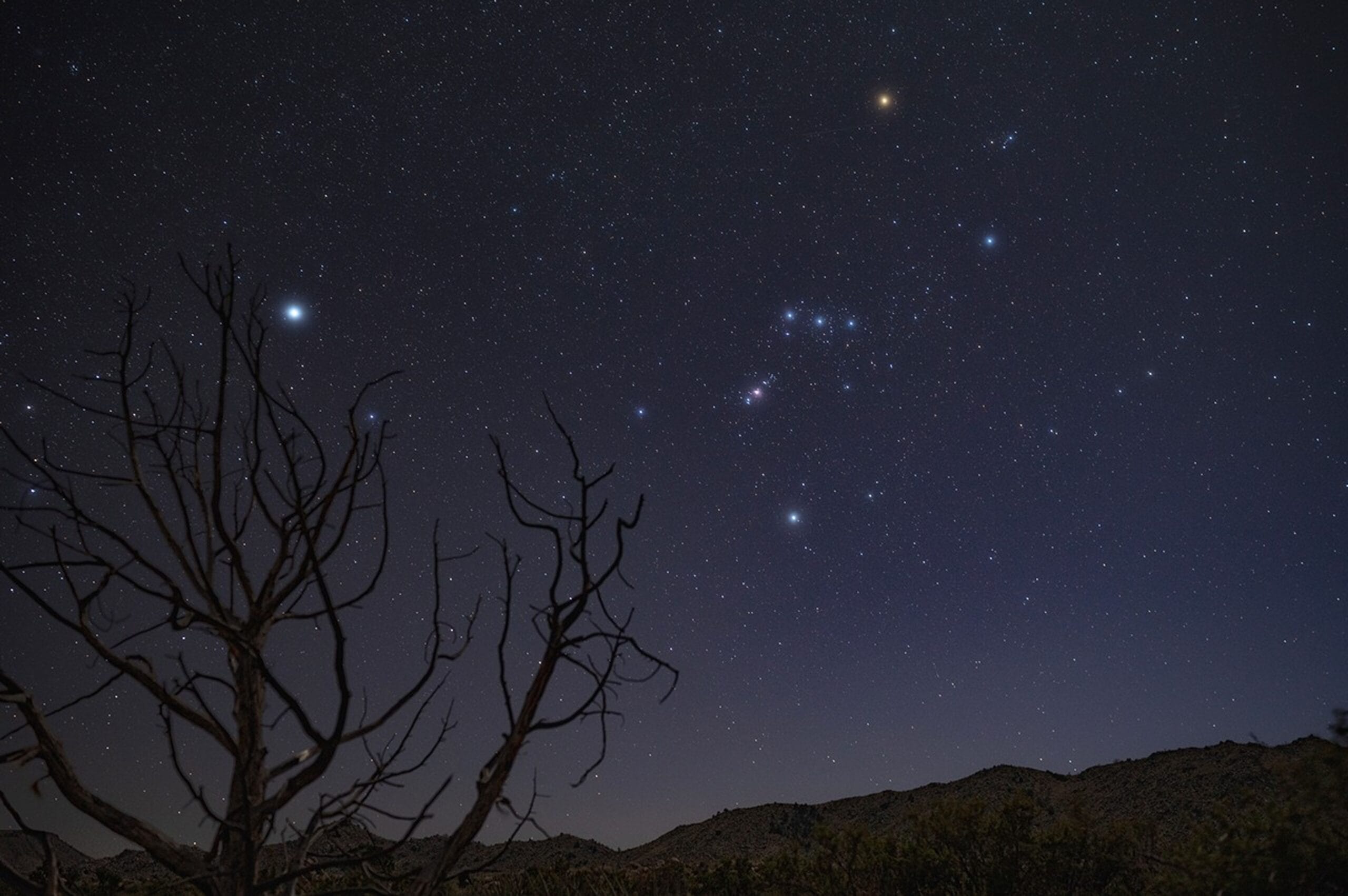 ¿Qué Podremos Ver en el Cielo en Febrero? 1 ¿Qué Podremos Ver en el Cielo en Febrero?