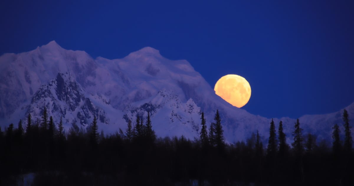 Ya Está Aquí la Luna de Hielo o Luna del Lobo 1 Ya Está Aquí la Luna de Hielo o Luna del Lobo