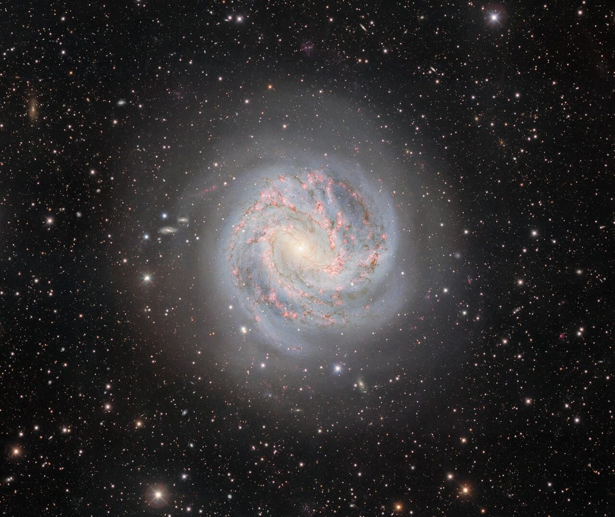 Observan un Tesoro Cósmico de Estrellas Nacientes y Supernovas