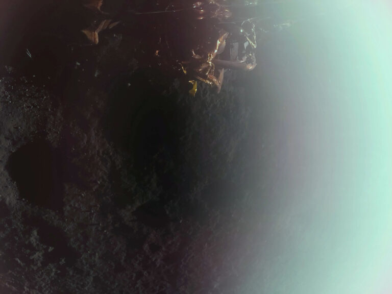 Primera imagen captada por el módulo lunar Blue Ghost de Firefly, tomada poco después de la confirmación de un aterrizaje exitoso en Mare Crisium, en el lado visible de la Luna. Esta es la segunda entrega lunar de instrumentos científicos y tecnológicos de la NASA como parte de la iniciativa de Servicios de Carga Lunar Comercial de la agencia.