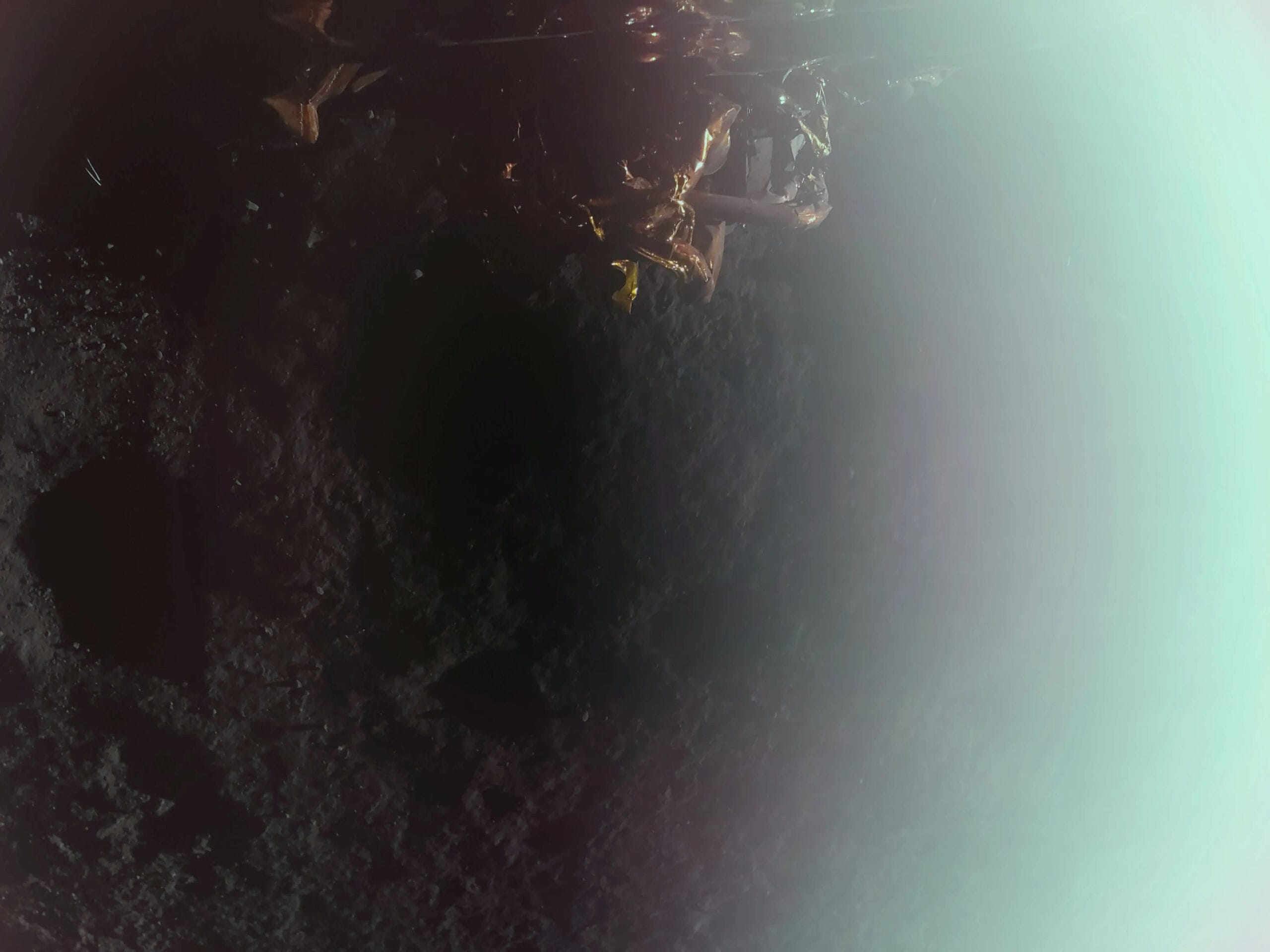 Primera imagen captada por el módulo lunar Blue Ghost de Firefly, tomada poco después de la confirmación de un aterrizaje exitoso en Mare Crisium, en el lado visible de la Luna. Esta es la segunda entrega lunar de instrumentos científicos y tecnológicos de la NASA como parte de la iniciativa de Servicios de Carga Lunar Comercial de la agencia.