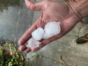 La NASA está utilizando datos aportados por ciudadanos a través de redes de observación meteorológica. Miles de voluntarios registran cuándo cae granizo, su tamaño aproximado y su intensidad, aportando información clave desde el terreno.