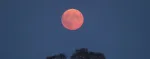 La madrugada del 2 de Abril tendrá lugar otro fenómeno astronómico muy especial para los amantes de la astronomía: la Luna Rosa de Abril.
