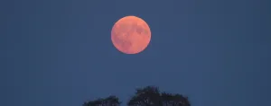 La madrugada del 2 de Abril tendrá lugar otro fenómeno astronómico muy especial para los amantes de la astronomía: la Luna Rosa de Abril.