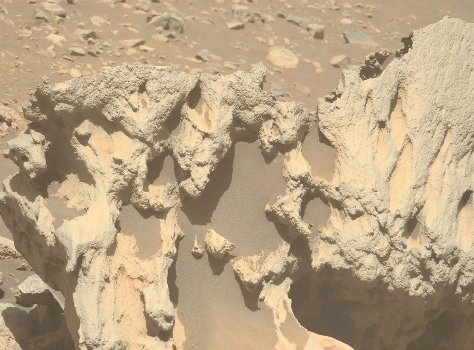 Primer plano de Phippsaksla tomado por la cámara Mastcam-Z del rover, donde se aprecia el brillo metálico característico de los meteoritos de hierro y níquel.