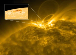 La mancha solar emergente captada por el Observatorio de Dinámica Solar (SDO) de la NASA