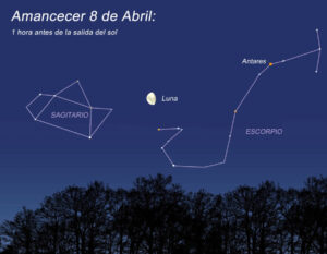 La madrugada del miércoles 8 de Abril, aproximadamente una hora antes de que salga el Sol, si miras hacia el sur podrás ver a la Luna, casi menguante, al lado del famoso asterismo de la "Tetera" de la constelación de Sagitario.
