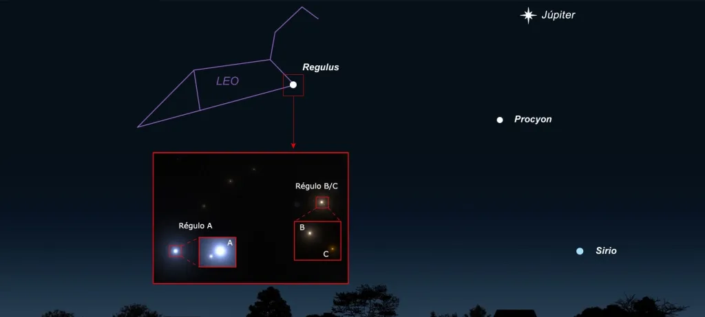 Estas noches son perfectas para observar la constelación de Leo. Su principal estrella, Regulus luce muy brillante en el cielo.