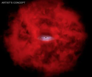 Un primer plano del “punto de rayos X” revela la emisión detectada por el Chandra superpuesta a la observación infrarroja de Webb. Este objeto podría representar una fase en la que un agujero negro en crecimiento comienza a despejar el gas que lo rodea, permitiendo que los rayos X escapen. Credits: NASA/CXC/SAO/M. Weiss; adaptado por K. Arcand y J. Major