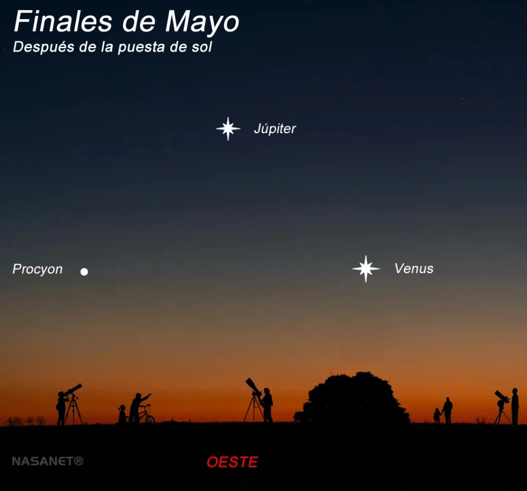 Júpiter, Venus y Procyon: El Triángulo Celeste de Finales de Mayo