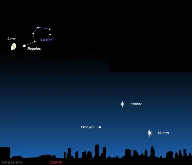 Una vez que se haya puesto el Sol y empiece a oscurecer, mira hacia el suroeste y verás una Luna Creciente brillando cerca de la estrella más brillante de la constelación de Leo: Regulus