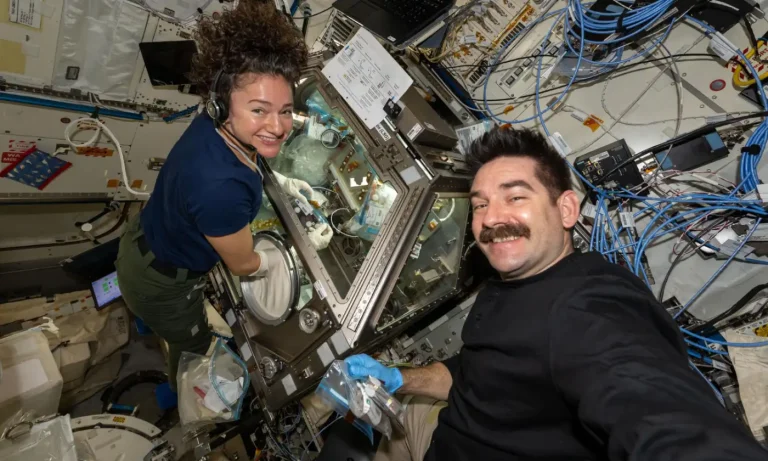 Los astronautas de la NASA Jessica Meir y Jack Hathaway trabajan juntos para procesar muestras de células madre a bordo del módulo laboratorio Kibo. La investigación podría conducir al desarrollo de terapias diseñadas en el espacio para tratar el cáncer y enfermedades sanguíneas. Credit: NASA