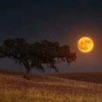 Cada mes la Luna llena ofrece un espectáculo diferente, pero la conocida como Luna de Fresa destaca por una característica que la convierte en una de las más peculiares del calendario astronómico. Lejos de deber su fama a un color rojizo o rosado, esta Luna llena de Junio llama la atención porque permanece extraordinariamente baja sobre el horizonte para quienes observan el cielo desde el hemisferio norte.