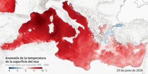 El mar Mediterráneo ha registrado la temperatura superficial más alta jamás medida para un mes de junio, según datos del programa europeo Copernicus. Los científicos advierten que este récord refleja el acelerado calentamiento de los océanos y podría intensificar fenómenos meteorológicos extremos durante el verano.