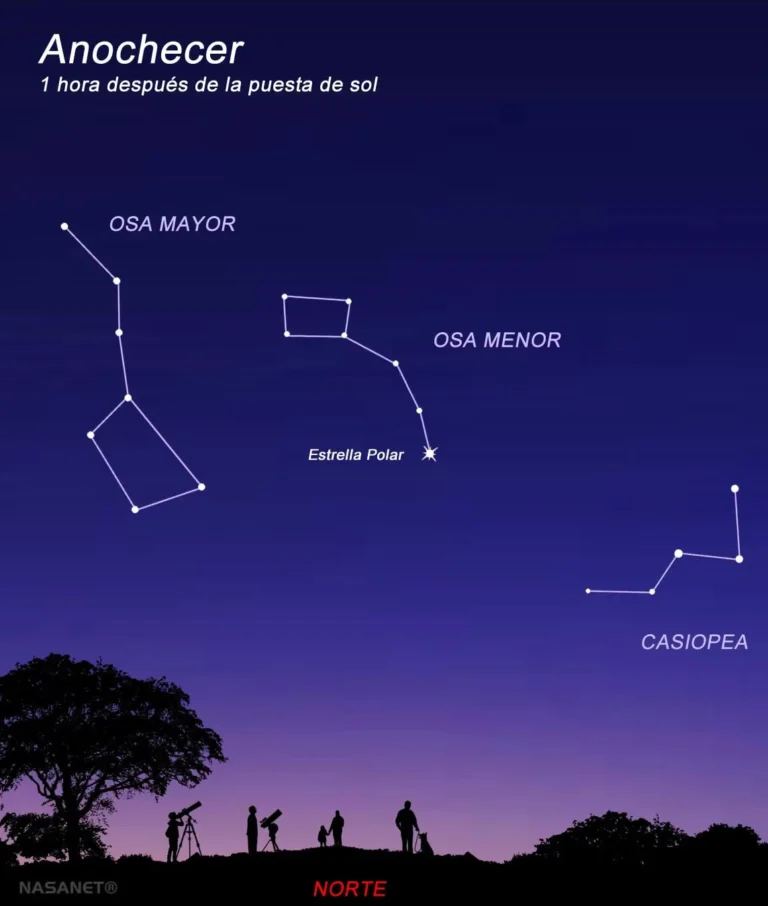 Casiopea y la Osa Mayor son dos de las constelaciones más fáciles de reconocer en el cielo nocturno. Descubre cómo localizarlas y cómo giran alrededor de la Estrella Polar.